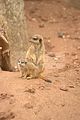 leipzig zoo-01_07_2011_zoo_allgemein_283